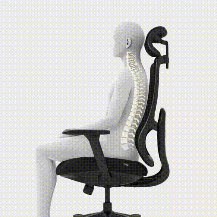 Silla Ergonómica Premium Negro/Celeste - Ergoflow