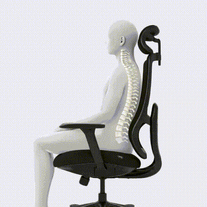 Silla Ergonómica Premium Negro/Celeste - Ergoflow