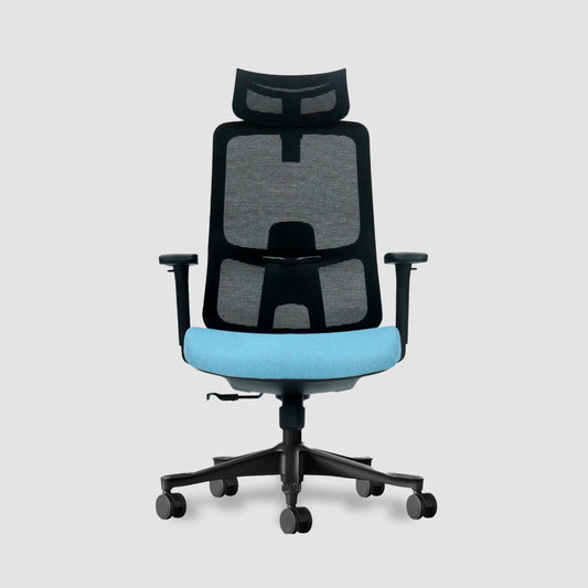 Silla Ergonómica Premium Negro/Celeste - Ergoflow
